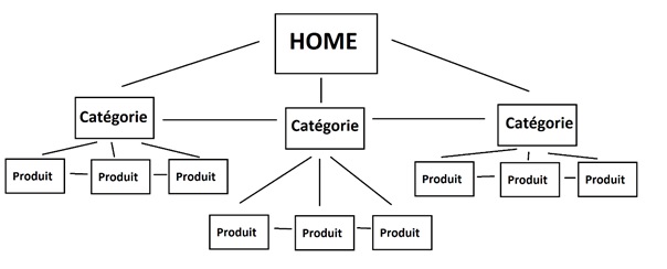 arborescence-site-ecommerce